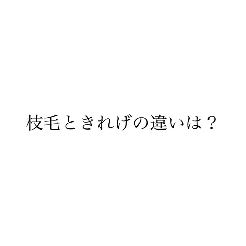 枝毛と切れ毛のちがいは？